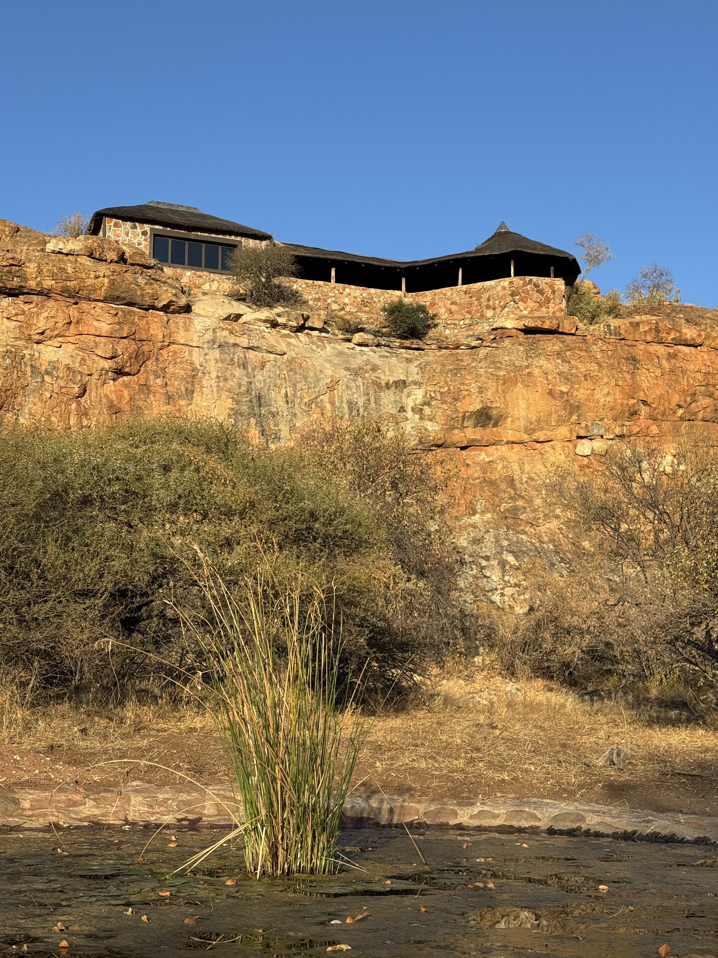 Stone-clad lodge perched on a rocky outcrop above the bush