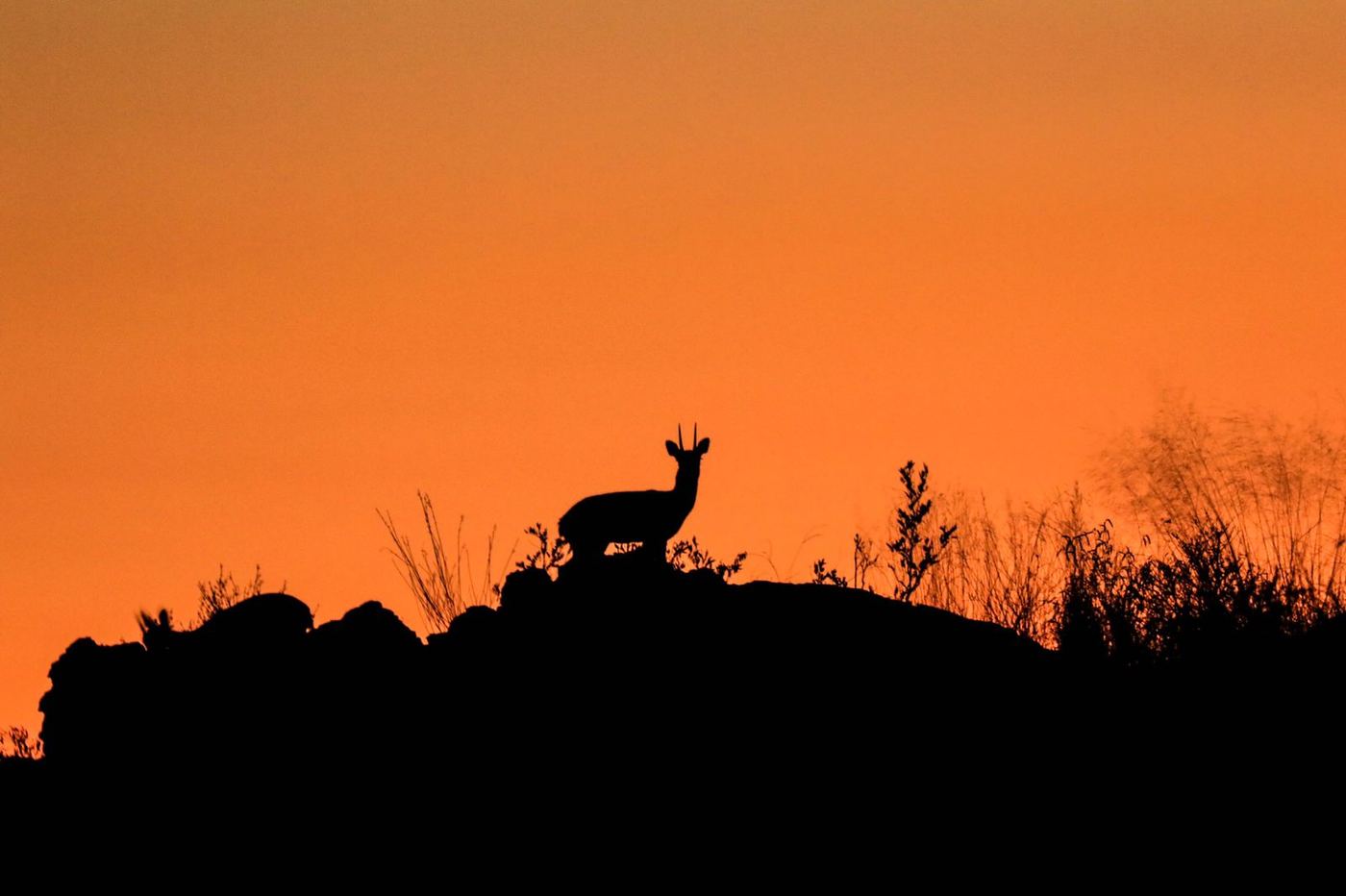 Living Area 8