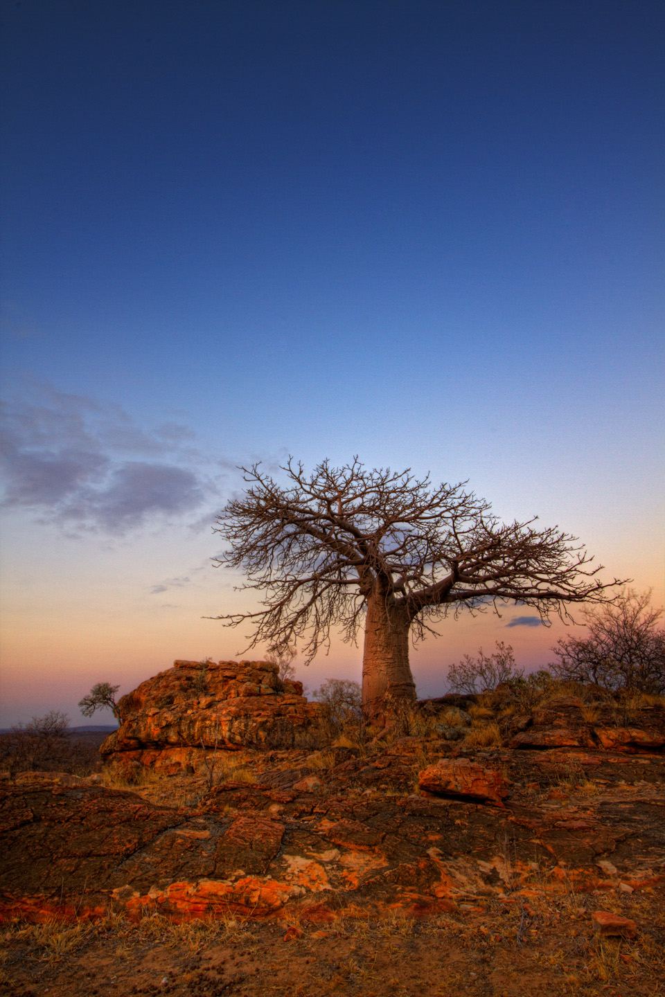 Nature 3
